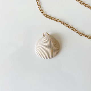 Found White Natural Shell