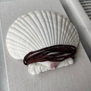 White shell with a brown cord wrapped on the center in a gray frame on a striped fabric background