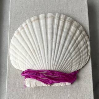 White shell with a pink silk cord wrapped on the center in a gray frame on a striped fabric background