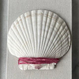 Framed shell with pink ribbon on a striped fabric background