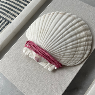 Seashell with pink ribbon on a textured surface