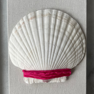 White shell with a Fuchsia silk cord wrapped on the center in a gray frame on a striped fabric background