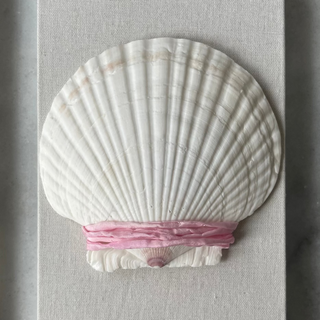 pink silk cord wrapped around shell on a gray background