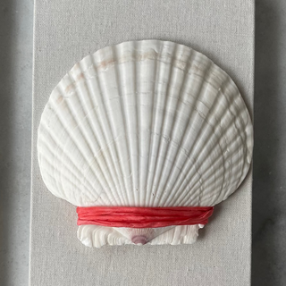 coral silk cord wrapped around shell on a gray background