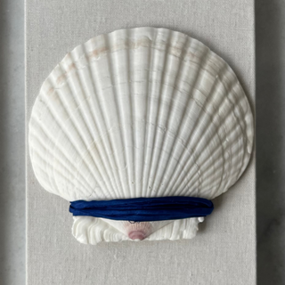 blue silk around shell on on a gray background