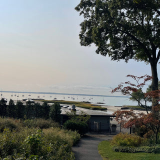 Scenic view of a coastal area with trees and a path leading to the water.